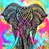 Tenture ELEPHANT tie&dye arc en ciel 2.40x2.20m-0