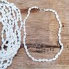 Collier coquillage blanc