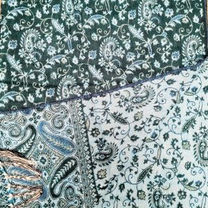 Alternative view of Châle du Népal Mango